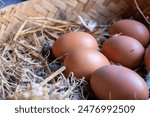 Close up eggs on the nest. Cage free eggs. Nutritious and natural food.