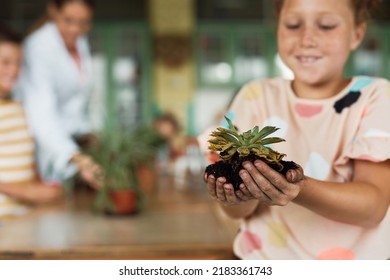 Close Up Of Elementary Student Holding Plant Growing In Soil During Botany Activities At School.