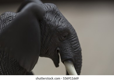 Close up of an elephant head