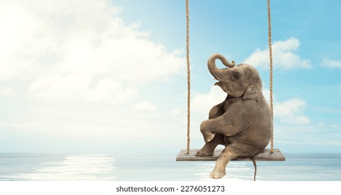 Close up of an Elephant sitting on a swing above water. Concept of  freedom and happiness.