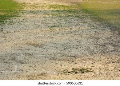 Close Of Empty Cricket Pitch Texture