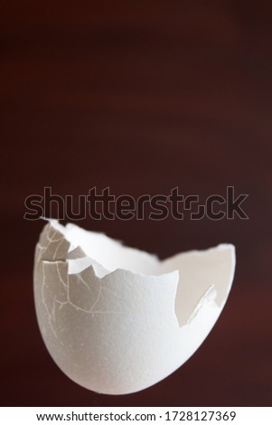 Close up of empty eggshell on dark, brown background.