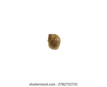 Close up of an empty patterned brown snail shell isolated on a white background.