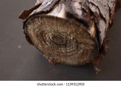 Close up of the end of a log.