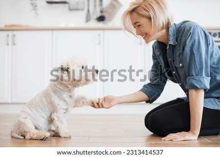 Close up of excited female in cozy outfit training paw command to clever Westie in apartment interior. Positive blonde adult reinforcing good behaviour with smile during one-to-one time with dog.