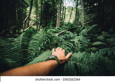 Close up of explorer male hand in green rainy forest.Survival travel,lifestyle concept. - Shutterstock ID 1063262366