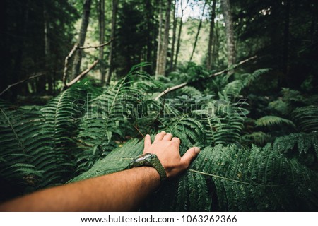 Close up of explorer male hand in green rainy forest.Survival travel,lifestyle concept.