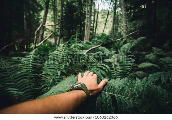 Close up of explorer male hand\
in green rainy forest.Survival travel,lifestyle\
concept.