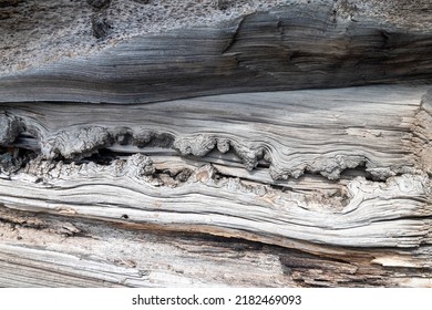 Close Up Of An Exterior Wall Of An Abandoned House In Animas Forks, An Historical Ghost Town And Old Mining Camp On The Animas Off-road Trail In The San Juan Mountains