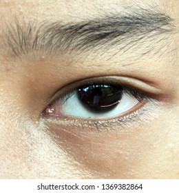 close up of a eye