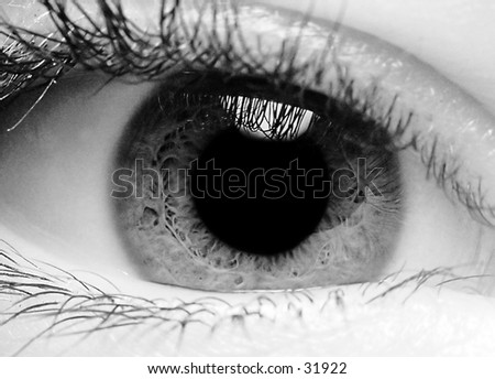 Similar – eye droplets Eyes Eyelash