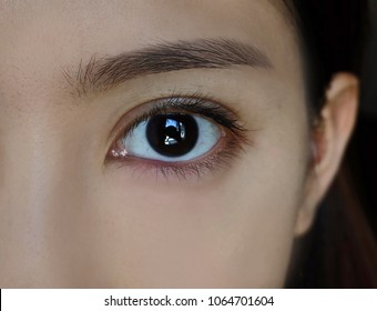 Close up of an eye of an Asian woman. Black eye, black lash, black brow.