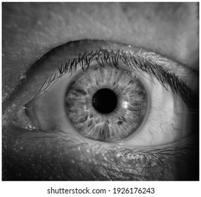 Close Up Of Eye With Capillaries. Scared Look. Ophthalmology And Medicine Concept. Macro Photo Of Human Eye. Eyeball With Reflection On Its Surface, Scared Eye. Survival. Black And White.