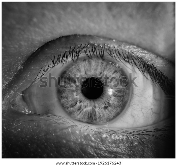 Close up\
of eye with capillaries. Scared look. Ophthalmology and medicine\
concept. Macro photo of human eye. eyeball with reflection on its\
surface, scared eye. Survival. Black and\
white.