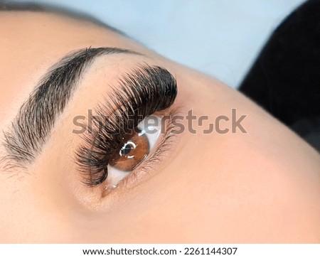 close up of eye with eyelash extensions in beauty salon macro eye top view.