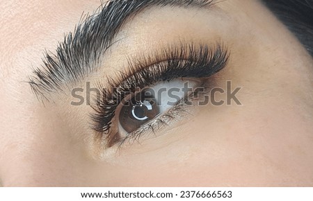 Close up of eye with eyelash extensions ,beauty salon treatment ,2d volume, 3d volume, classical lashes,Russian volume,megavolume, new set.