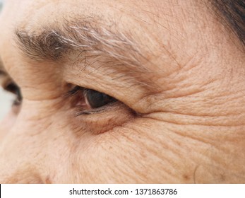Close up of eye and grey eyebrown of an old woman showing crow's feet and wrinkles from aging 