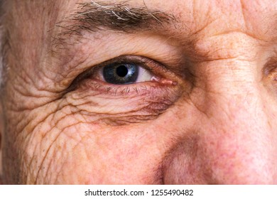 Close up of the eye of a happy, smiling older man - Powered by Shutterstock