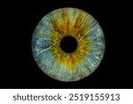 Close up of eye iris on black background, macro, photography