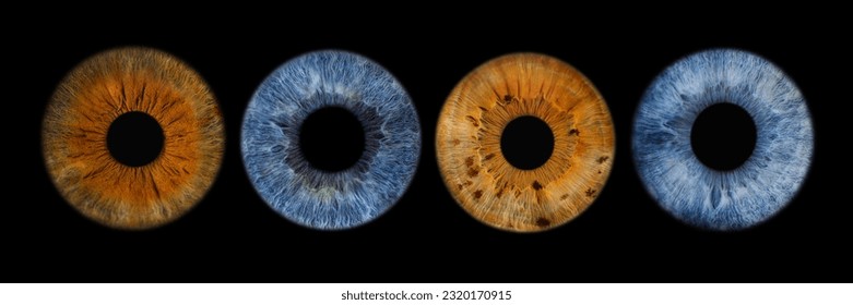 Close up of eye iris on black background, macro, photography - Shutterstock ID 2320170915