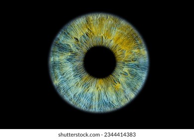 Close up of eye iris on black background, macro, photography