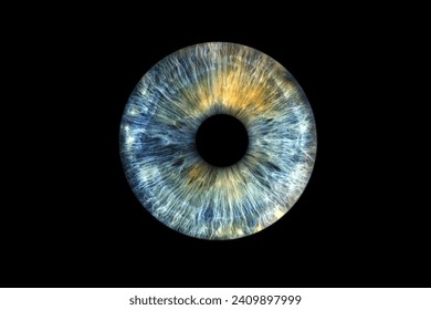 Close up of eye iris on black background, macro, photography - Powered by Shutterstock