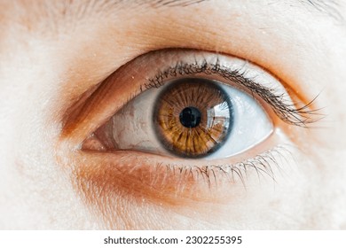 Close up eye portrait pupil