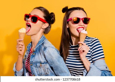 Close up face portrait of two brunette hair dreamy charming lovely cute gorgeous lady in glasses spectacles isolated on yellow vivid background eating sugar tasty yummy appetiser snack