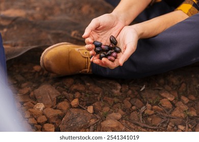 Close up of a farmer's hands gently cradling a handful of freshly harvested olives, showcasing the beginning of the olive oil production process - Powered by Shutterstock