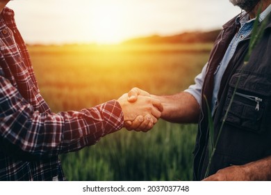 Close up farmers handshake outdoor on a field - Shutterstock ID 2037037748
