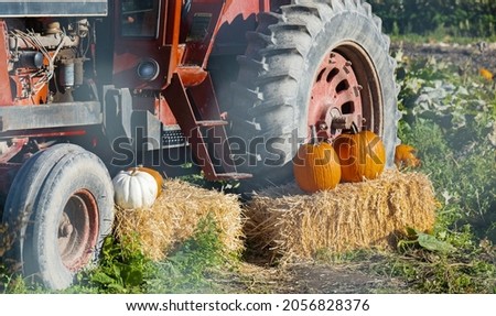 Close up a farmer's tractor displays an autumn bounty in countryside. A tractor decorated with hay and pumpkins for Thanksgiving Day and Halloween Festival. Street photo, selective focus, travel photo