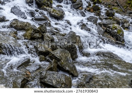 Close up of a fast mountain stream flowing over dark wet rocks and boulders. Rapid cold water texture in a spring forest. Caucasus region.