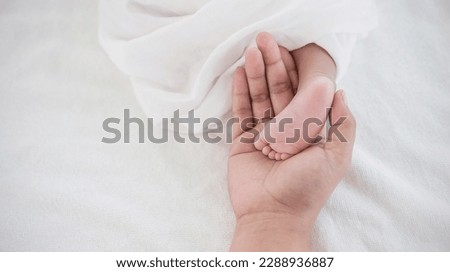 Close up father mother’s hands holding black African newborn baby feet. Closeup feet of newborn baby. Healthcare and medical love lifestyle mother or father’s day background concept banner