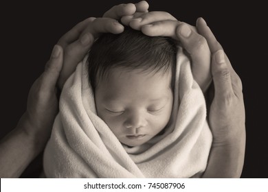 Close Up Father And Mother Hands Holding Newborn Baby Over Black Background, Copy Space Background Banner Family Parents Love Concept, Black And White