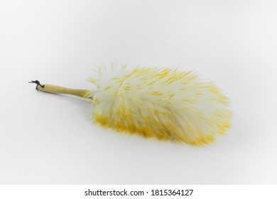 Close Up Of Feather Duster Isolated On White Background