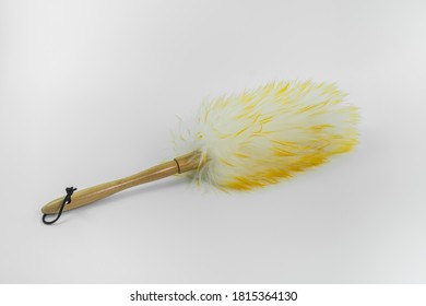 Close Up Of Feather Duster Isolated On White Background