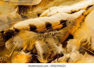 A close up of feathers with a brown and white pattern. The feathers are arranged in a way that creates a sense of depth and texture. The image evokes a feeling of warmth and comfort