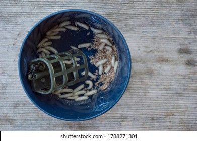 311 Maggots In Box Images, Stock Photos & Vectors | Shutterstock