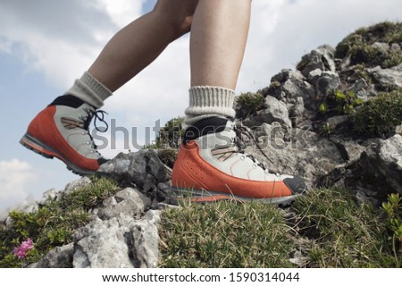 Similar – Image, Stock Photo View in the Allgäu Happy