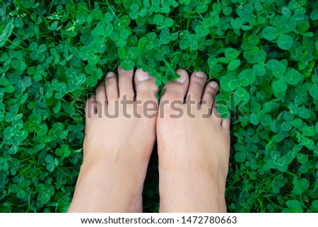 Close up of feets on the green grass background.