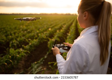 close up female agricultural specialist holding Drone Remote and controlling drone in air standing in corn field on sun set, soft focus, focus on Drone Remote