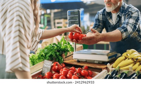 Close Up of a Female Customer Buying Natural Organic Tomatoes From a Happy Senior Farmer on a Sunny Summer Day. Successful Street Vendor Managing a Small Business Farm Stand at an Outdoors Market