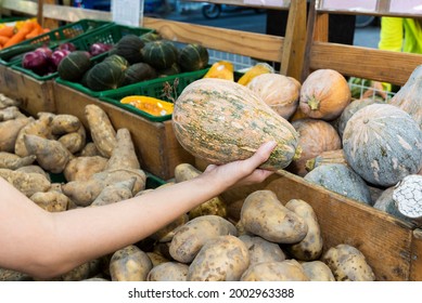 Close up of female customer holding a pumpkin at the vegetable stall in North Kaohsiung, Taiwan.