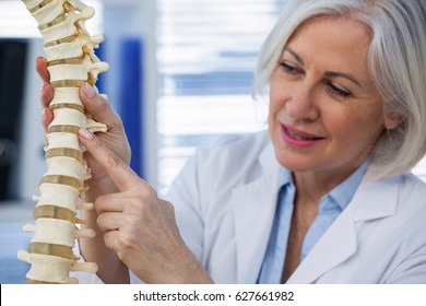 Close up of female doctor holding spine model in medical office - Powered by Shutterstock