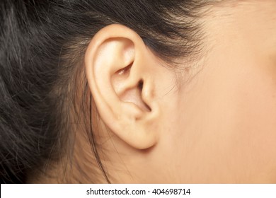 Close Up Of Female Ear