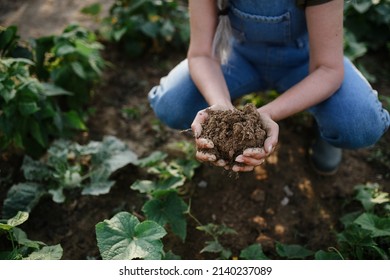 Close Up Of Female Famer Hands Holding Soil Outdoors At Community Farm.