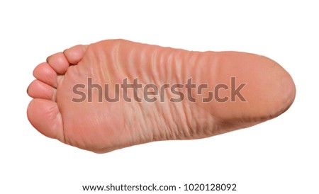 A close up of the female foot. Isolated on white.