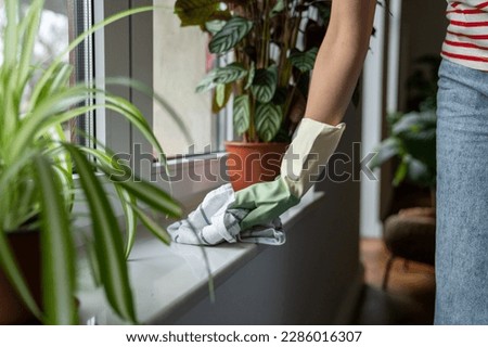 Close up of female hand in rubber glove cleaning dust off window sill, removing dirt from surfaces at home. Woman using cotton cloth to clean windowsill, cleaning apartment
