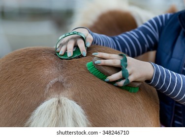 Close up of female hands grooming horse on the ranch - Shutterstock ID 348246710