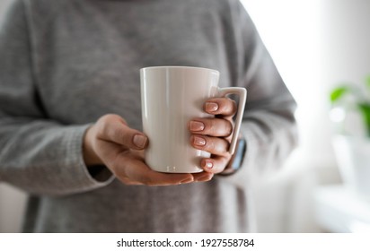 Close Up Of Female Hands Holding A White Mug With An Empty Folding Veneer For Your Promotional Text Message Or Promotional Content, Sweet Coffee Or Tea.